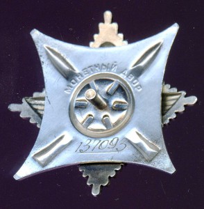 ЗА СЛУЖБУ РОДИНЕ В ВС СССР № 137093