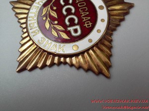 Почётный знак ДОСААФ СССР вручался спортивным обществом