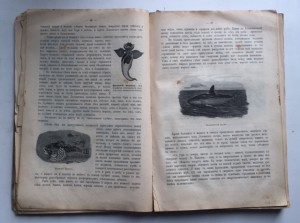 Книга для детей "Другъ животныхъ"