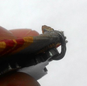 Трудовая слава 1 ст. № 0840!!  2 ст. № 4214!! 3 ст. № 188932