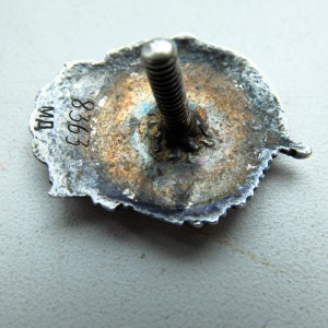 Отличник ВМФ в серебре