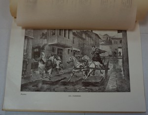 Журналы до 1917 г. В количестве.
