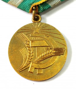 Нечерноземье с документом