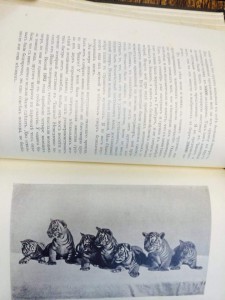 Гагенбек "О животных и людях" 1912 г.