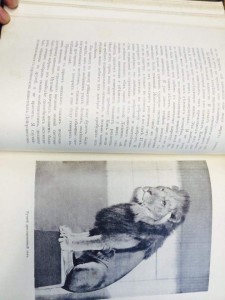 Гагенбек "О животных и людях" 1912 г.