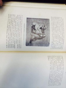 Гагенбек "О животных и людях" 1912 г.