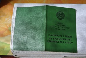 Док на черноземье2