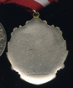 Афганский БКЗ в группе.