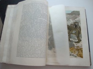 Брэм А.Э. Жизнь животных. 1904г. Том 1, Том 2. Комплект.