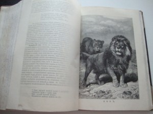 Брэм А.Э. Жизнь животных. 1904г. Том 1, Том 2. Комплект.