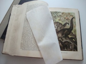 Брэм А.Э. Жизнь животных. 1904г. Том 1, Том 2. Комплект.