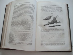 Ляйэлль Ч. Основные начала геологии. 1866г.