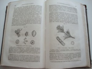 Ляйэлль Ч. Основные начала геологии. 1866г.