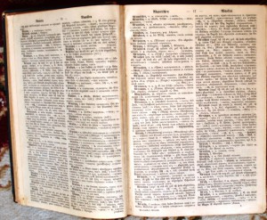 Продам:1888год.Павловский И.Я. Немецко-русский словарь. 1529
