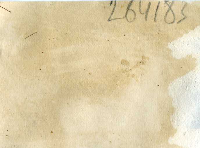 Выгрузка лошадей из эшелона. Манёвры Приволжского ВО. 1930-е