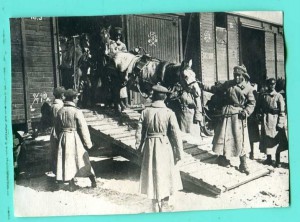 Выгрузка лошадей из эшелона. Манёвры Приволжского ВО. 1930-е
