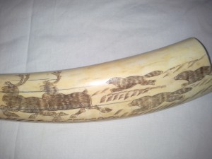клык моржа