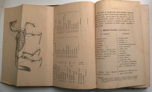Записки по нар.осм.лошади для кав.юнкеров К.Петерсон 1886