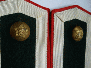 Погоны курсанта ветеринарного училища.