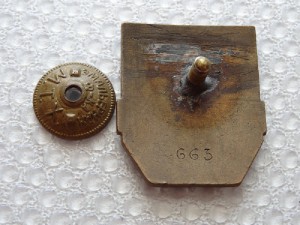 Дружинник (прибалтика)