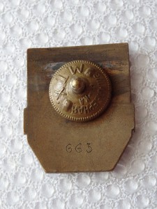 Дружинник (прибалтика)