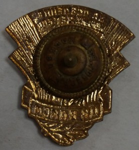 За освоение новых земель - ЦК ВЛКСМ, винтовой, с документом.