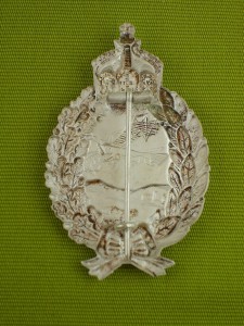 Знак пилота Имперских военно-воздушных сил Германии.