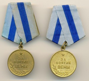 Вена 2 шт. (6283)