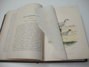 Природа. Поп. Естественно-исторический сборник. К-1 1873г.