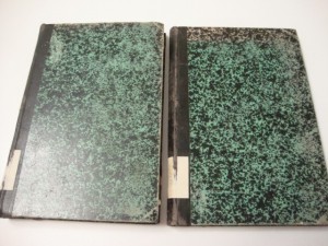 Н.А. Елеонский Очерки из библейской географии. 2 тома. 1896г