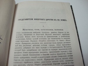 Н.А. Елеонский Очерки из библейской географии. 2 тома. 1896г
