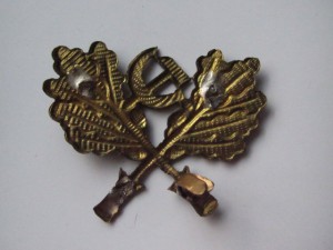 Латунные накладки на обшлага лесника пара.