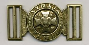 Пряга румынского "гитлер-югенда".