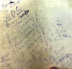 Документы легендарного судьи г.Хабаровска - Мухайдарова Т.В.