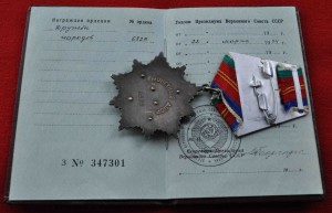 Дружба Народов № 6829 ЛЮКС + док