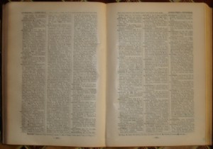 Продам:2 редких старинных словаря. 1888-1906 г.г.