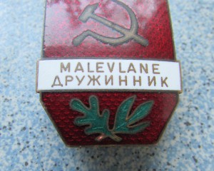 Дружинник. Эстония.