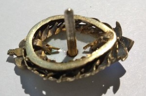 Фрачник в серебре