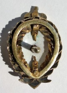 Фрачник в серебре