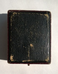 Фрачник в серебре