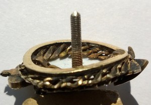 Фрачник в серебре