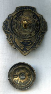 Отличник санитарной службы
