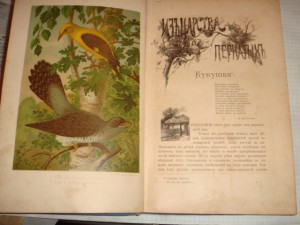 Кайгородов Д. Н. Из царства пернатых, Суворин, 1895г