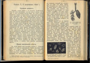 мир в расказах для детей 1912г.
