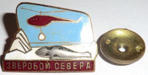 Зверобой Севера.