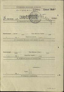 Штурман 9 Лидерного Авиаполка 4 АД Осназ ВВС КА