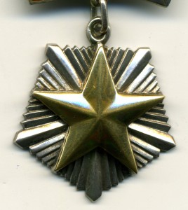 Мать-героиня № 35598