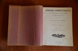 Чарльз Корниш. Жизнь животных в фотографиях с натуры 2 тома.