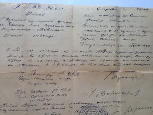 Комплект доков на партизана, командира эскадрона
