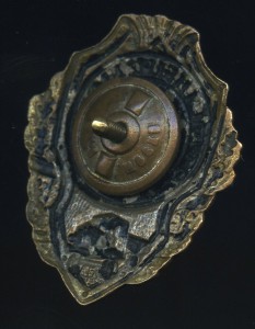Отличный шофёр (полосатый медальон).